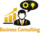 Business Consulting